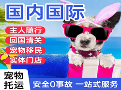 佛山空运地址国际宠物托运 【国